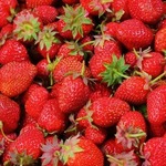 strawberries